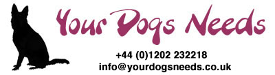 Your Dogs Needs
